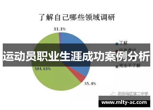 运动员职业生涯成功案例分析