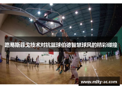 路易斯菲戈技术对抗篮球伯德智慧球风的精彩碰撞